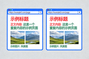 重复URL示例图，展示内容相同但URL不同的页面